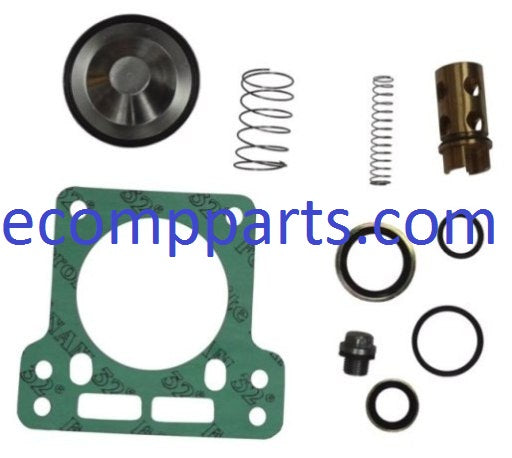 2901021702 (2901-0217-02) Oil Check Valve Kit